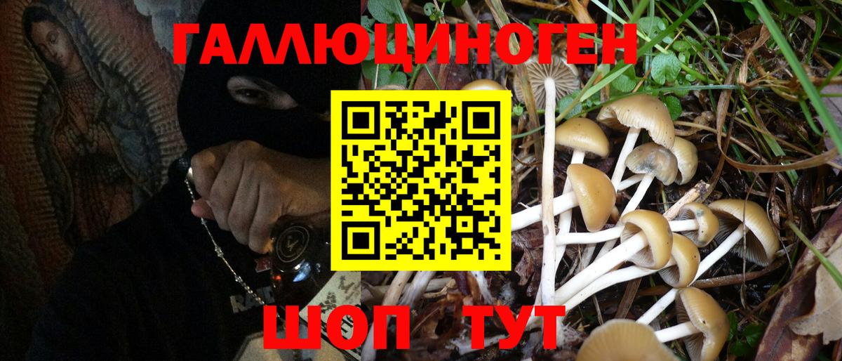 Павлово  Псилоцибиновые грибы MAGIC MUSHROOMS  Вход с VPN 